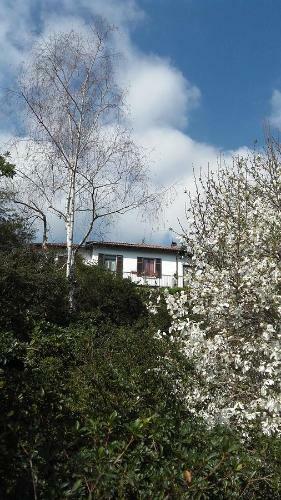 B&B Al Mutpron