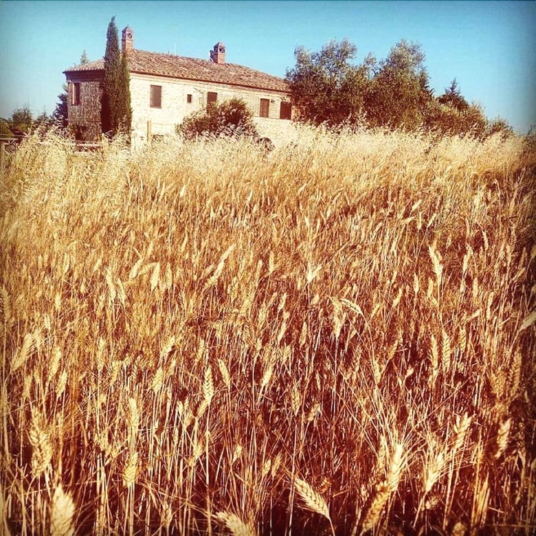 Apartamento Fonte Pecciano 1856