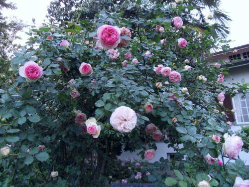 Bed & Breakfast Cuore Verde
