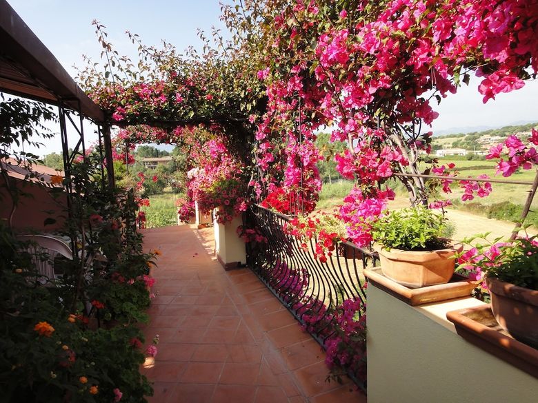 Hotel Domus De Janas Sul Mare