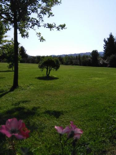 Campastrello Sport Hotel Residence