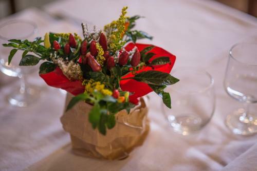 Agroturismo Il Dosso Agriturismo