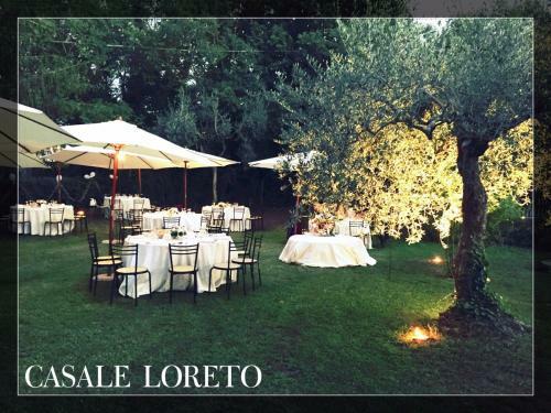 Bed & Breakfast Agriturismo Casale Loreto