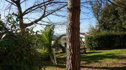 Apartamento Villa Silvestri
