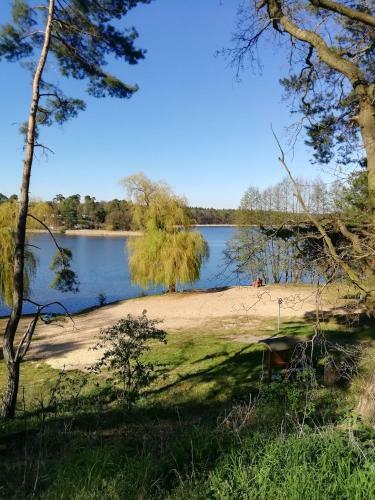 Apartamento Ferienwohnung Borcherts