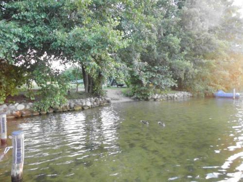 Apartamento Wald&wiesengefl�ster Zechlinerh�tte