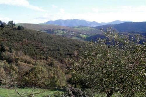 Apartamentos Rurales Casa Pajul�n