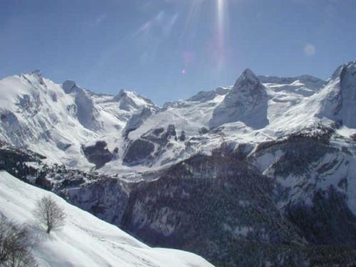 Rental Apartment Le Chalet 9