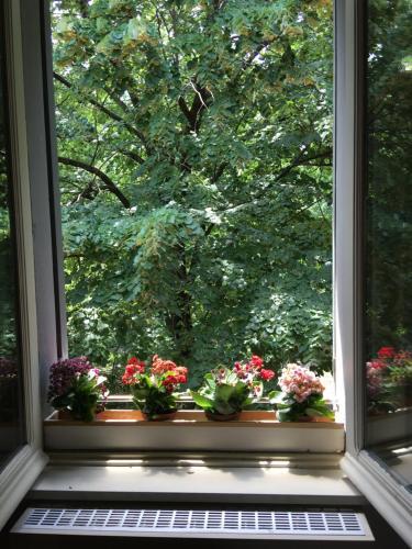 Apartamento Il Giardino Degli Artisti
