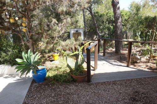 Villa Casa La Paloma
