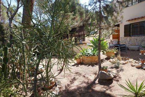 Villa Casa La Paloma