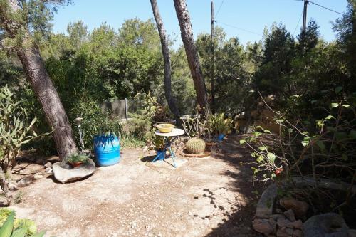 Villa Casa La Paloma
