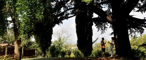 Apartamento Tenuta Montegrande 1893