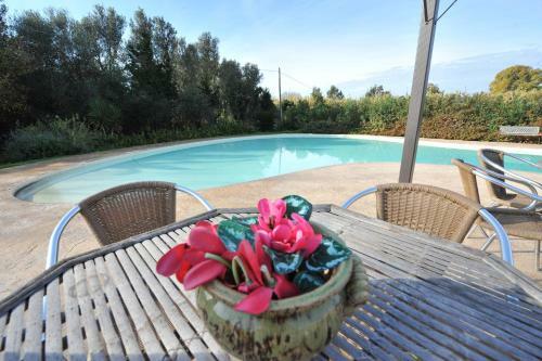 Agroturismo L'orto