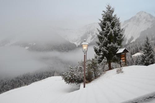 Hotel Chalet Rikheland