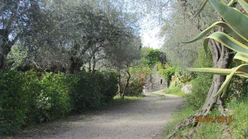 Bed & Breakfast Villa Des Oliviers