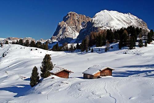 Hotel Gasthof Edelweiss