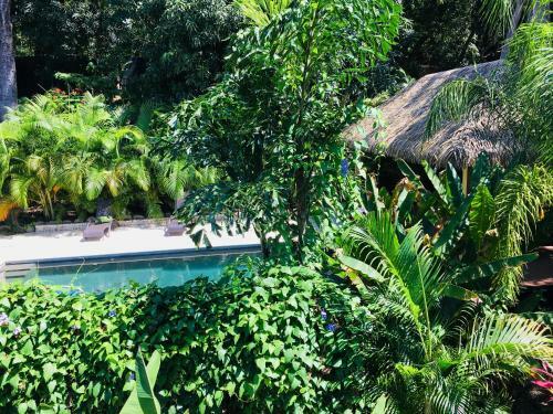 Lodge Ohana Villas