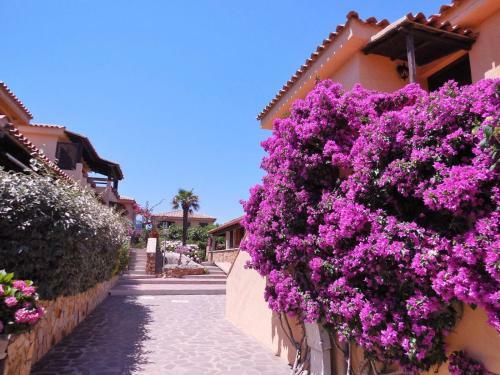 Apartamento Dany's Home In Baia De Bahas