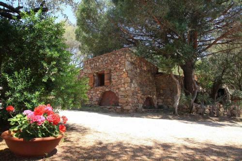 Apartamento R�sidence Les Oliviers