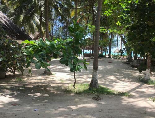 Kinazi Upepo Beach Hotel