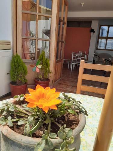 Albergue Wachaque Surf