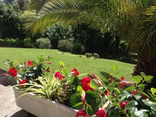 Apartamento Villa Alba Serena