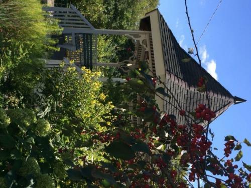 Bed & Breakfast Breezy Hill Inn