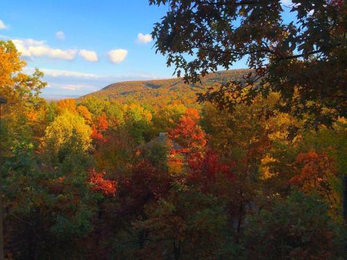 Skiview Pocono Townhouse Rental At Camelback