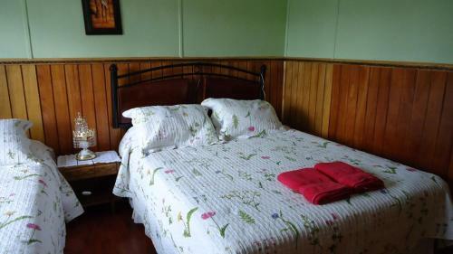 Hostal Patagonico