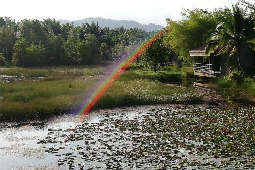 Hotel Mangala Resort And Spa - All Villa