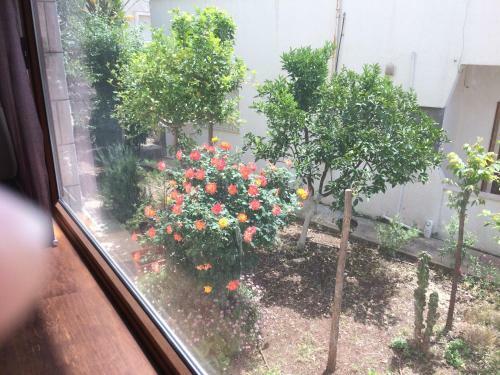 Hostal Miriam Short Term Rental
