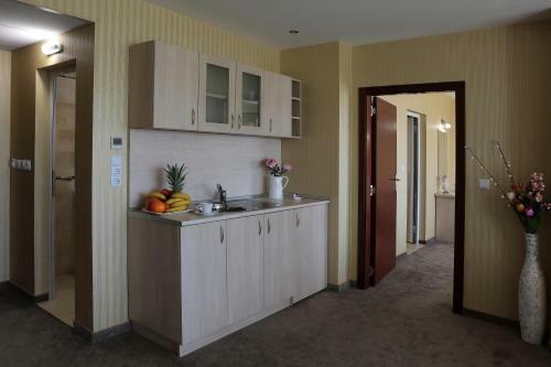 Hotel Spa Terma