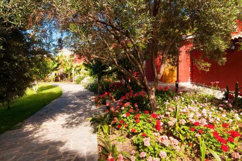 Traditional Country Villa Arucas