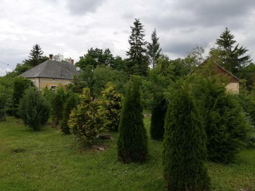 Apartamento Liget Vend�gh�z