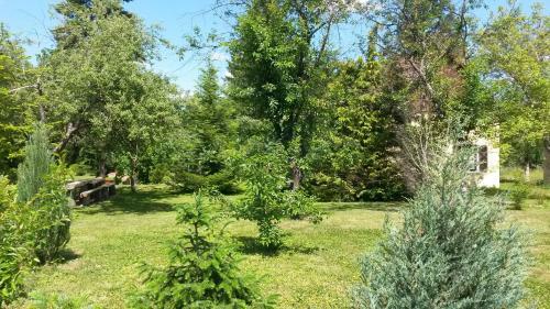 Apartamento Liget Vend�gh�z