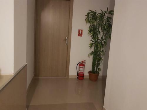 Georgiana Apartments
