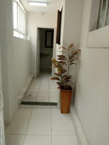 Hostal Tj House Hospedagem