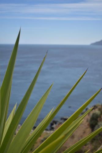 Lodge Caba�as Carilafquen