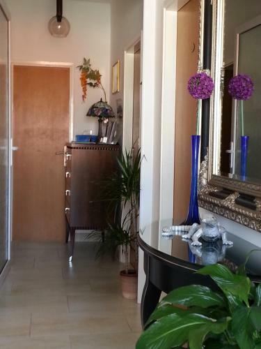 Residencia Guesthouse S&l