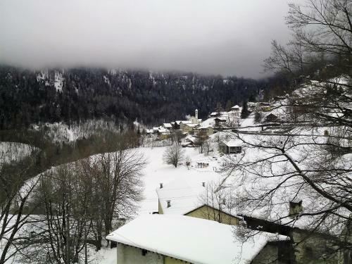 Hotel Des Alpes