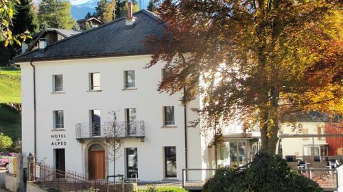 Hotel Des Alpes