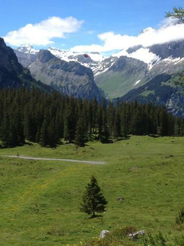 Apartamento Appartment Chalet Sonnenheim