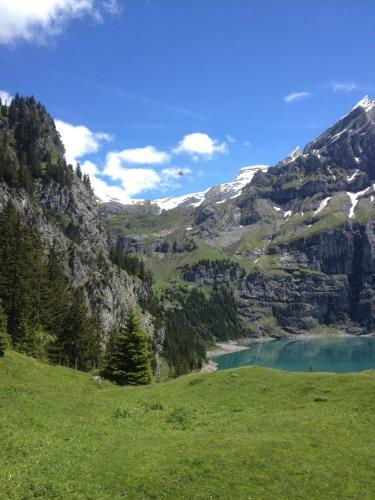 Apartamento Appartment Chalet Sonnenheim
