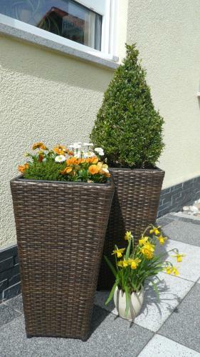 Blackforest Apartment