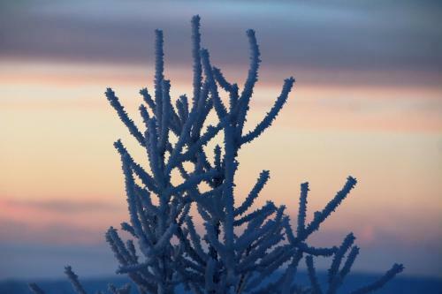 Skei�vellir Villa
