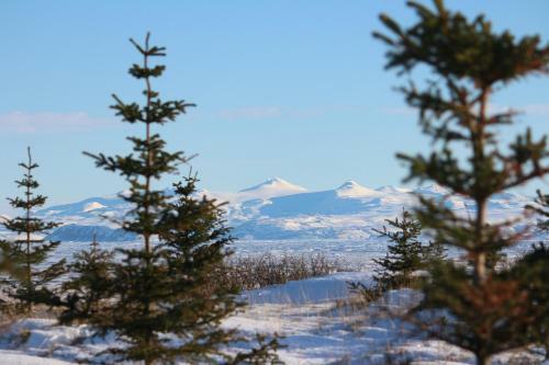 Skei�vellir Villa