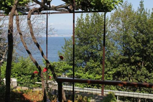 Hostal Double Room Medveja 7775a