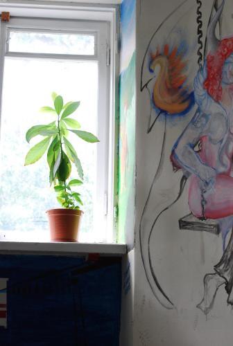Hostal Euphoria