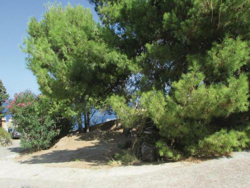 Holiday Home Calvi 10